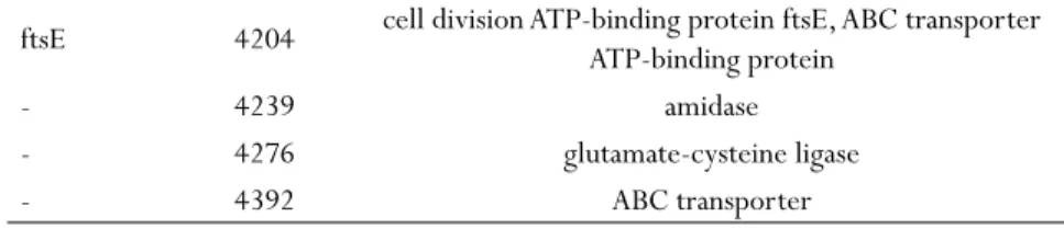 Table 5 - Hypothetical protein expressed in C. violaceum cultivated in iron presence.