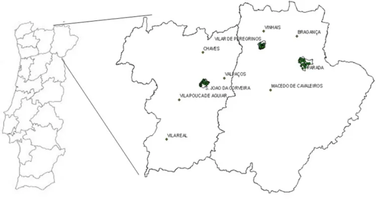Figura 1 - Localização das áreas de estudo: Parada, São João da Corveira e Vilar de Peregrinos