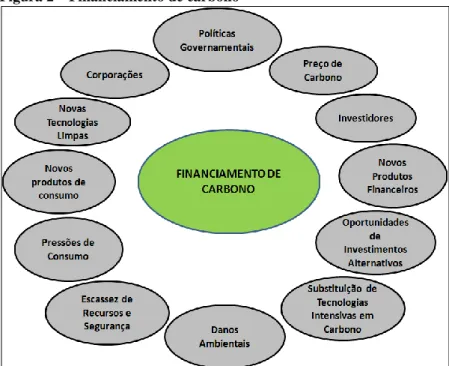 Figura 2 – Financiamento de carbono 