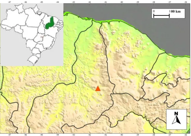 Figure 1. Geographical location of the study area, municipality of Picos, state of Piauí.