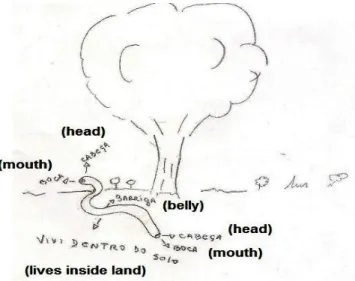 Figure  15.  Schematic  drawing  made  by  a  17-year-old  student  at  High  School,  representing  aspects  related  to  the  amphisbaenians’ 