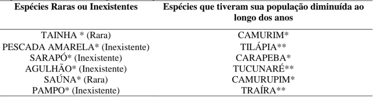 Tabela 1. Espécies citadas como raras ou inexistentes ou em diminuição segundo os pescadores  de Mituaçu