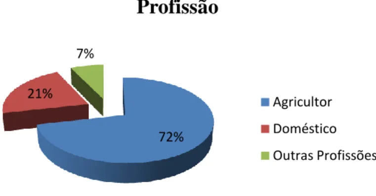 Figura 9. Profissões exercidas pelos informantes no município de Puxinanã, PB. 