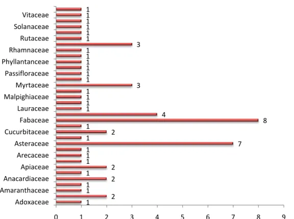 Figura  11.  Relação  do  número  de  famílias  botânicas  de  plantas  medicinais  indicadas  pelos  moradores do município de Puxinanã, PB