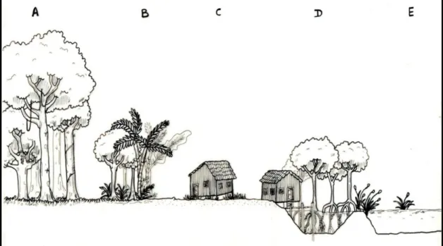 Figura  2: Desenho  esquemático  mostrando  os  cinco  tipos  de  ambientes  em  que  as  espécies  foram  estudadas  na  RERA