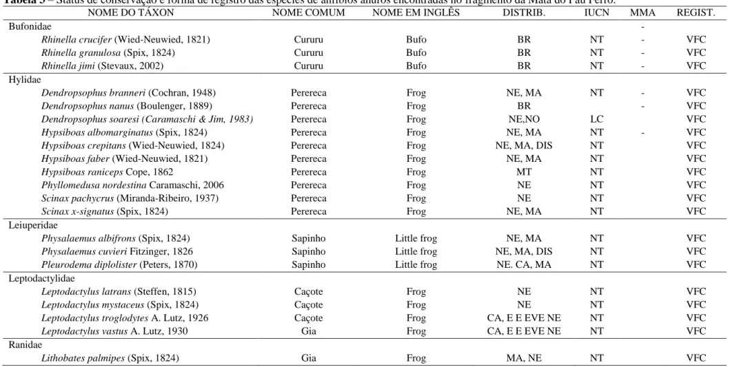 Tabela 3 – Status de conservação e forma de registro das espécies de anfíbios anuros encontradas no fragmento da Mata do Pau Ferro