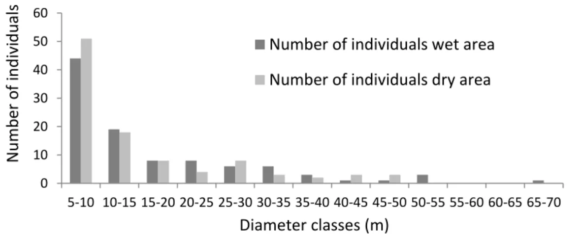 Figure 1. Number of individual per diameter classes in the Tabuleiro forest of Campus do Pici