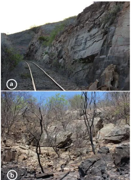 Figura  2.  Afloramentos  rochosos  presentes  na  área  de  Caatinga  utilizados no estudo, no município de Salgadinho – PB, Nordeste,  Brasil