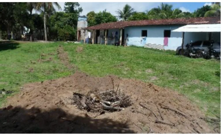Figura  4.  Preenchimento  do  buraco  escavado  com  restos  de  ramos  e  folhas  presentes  no  local,  em  Engenho Velho, Paraíba
