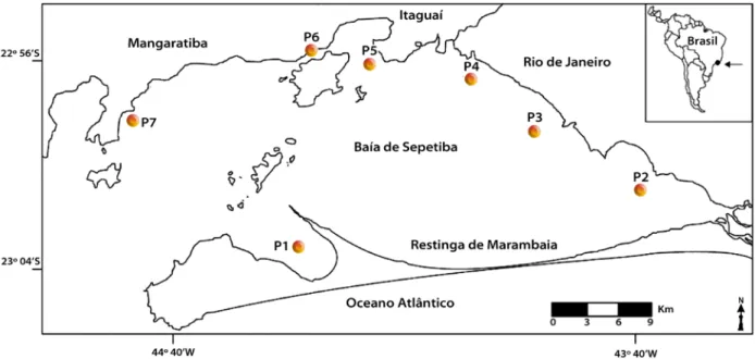 Figura 1. Área de estudo (Baía de Sepetiba), com pontos de amostragem em destaque.