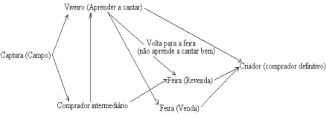 Figura 4 - Esquema simplificado do processo de comercialização de pássaros  silvestres nas feiras livres de João Pessoa, conforme apontado pelas pessoas  entrevistadas
