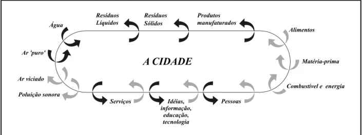 Figura 1. O metabolismo urbano. Modifi cado de Dias (1997).