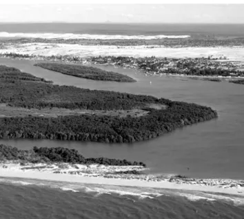 Figura 1. Vista parcial do estuário do rio Tubarão, Diogo Lopes, Rio Grande do Norte. Foto: Getúlio Moura© 2002.