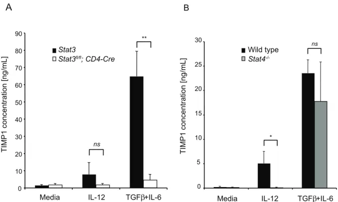 Figure 3. TIMP1 is induced in Th1 and Th17 cells by different mechanisms. (A) Naı¨ve CD4 + T cells from Stat3 fl/fl (black bars) or Stat3 fl/fl ;CD4- ;CD4-Cre (white bars) mice were stimulated in media alone (Th0), Th1 conditions or Th17(b) conditions