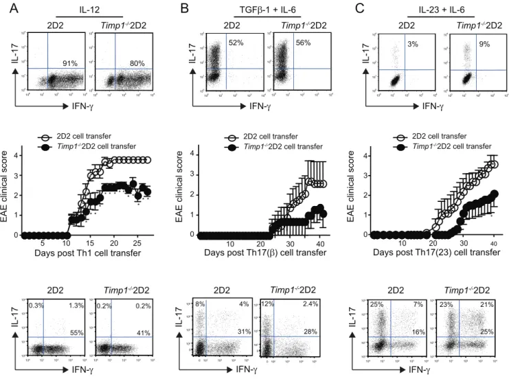 Figure S1 Naı¨ve (CD62L + CD44 2 ) CD4 + T cells from control (Stat3 fl/fl ) and CD4-Cre;Stat3 fl/fl mice were stimulated under Th0 or Th17(b) conditions