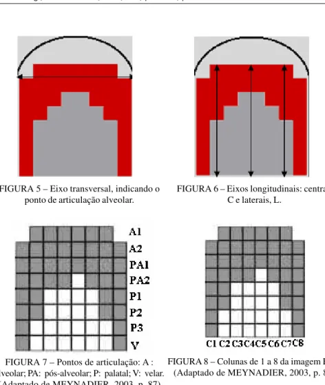 FIGURA 5 – Eixo transversal, indicando o ponto de articulação alveolar.