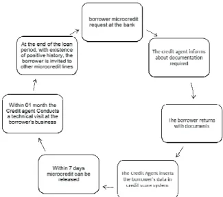 Figure 3. Characterization of Microcredit granting process of  Public Bank B. 