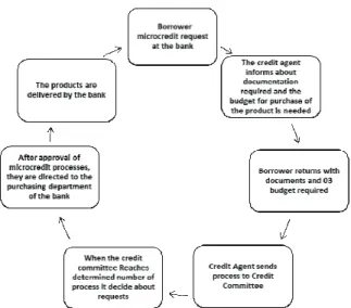 Figure 4 - Characterization of Microcredit granting process in  the State Development Bank