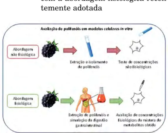 Figura 7 – Representação  esquemática  das  diferenças entre a abordagem não  fisiológica frequentemente adotada  em modelos in vitro em comparação  com a abordagem fisiológica  recen-temente adotada