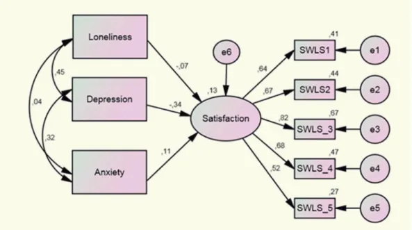 Figure 1 – Multiple Indicators Multiple Causes Model to predict satisfaction with life 