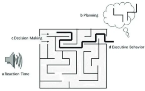 Figure 1.  Model of the maze, with an entrance  on the left and exit on the right