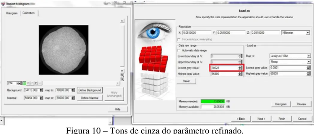 Figura 10 – Tons de cinza do parâmetro refinado. 