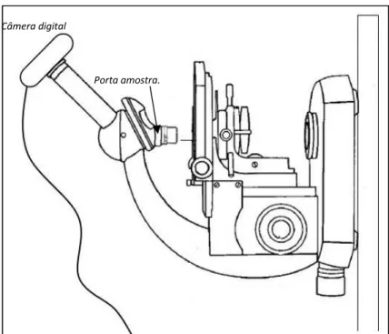 Figura 7: Esquema do aparato para registrar imagens das gostas nas superfícies tratadas