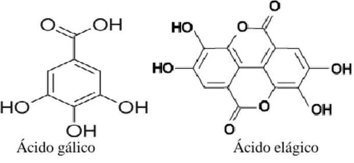 Figura 1: Estrutura química dos ácidos gálico e elágico  Fonte: Colpo, 2012; Degáspari et al., 2005