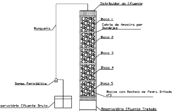 Figura 2. Filtro biológico em escala de bancada 