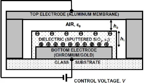 Figura 2.2 – Corte de um interruptor capacitivo  RF MEMS , caso de uma tensão de controlo positiva [2] 