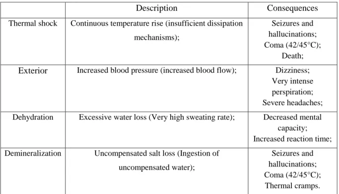 Table 2.1 - Consequences of thermal stress 