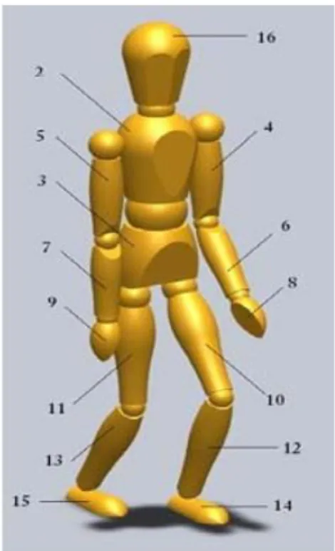 Figure 2.4 - Numeration of the 16 parts dividing the body into the numerical simulation (Gomes,2015) 