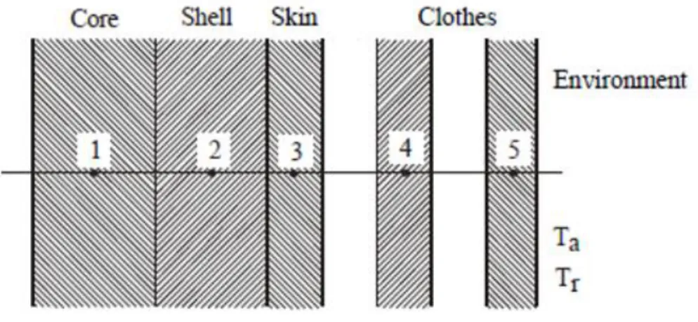Figure 3.4 -The three layers of each part of the body and the two layers of clothing 