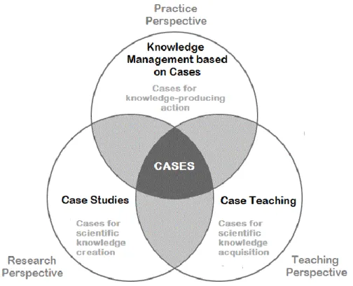 Figure 1 - Relation between Cases and Perspectives 