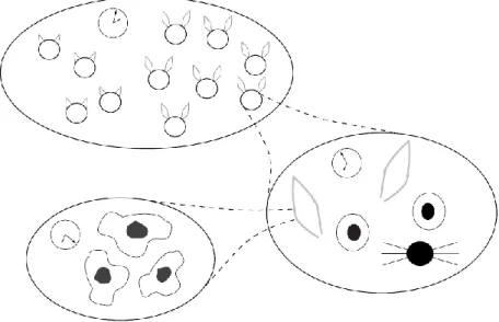 Figura 7 - Swarm hierárquico: coelhos, partes de coelho, células individuais 