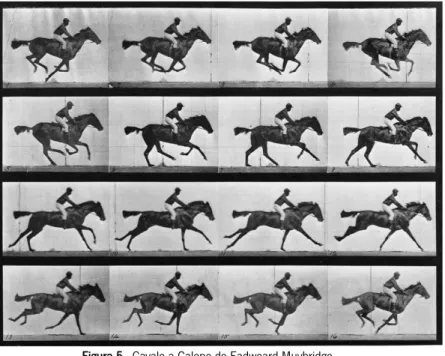 Figura 5 - Cavalo a Galope de Eadweard Muybridge 
