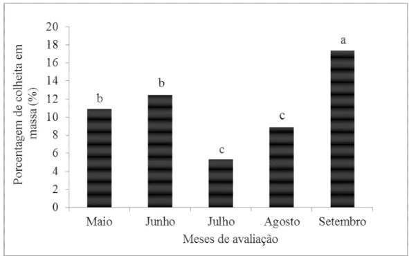 Figura  03:  Porcentagem  de  colheita  em  massa  (%)  em  função  de  cinco  meses  de  avaliação