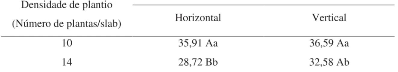 Tabela  01  -  Diâmetro  da  área  foliar  (mm)  de  plantas  de  morangueiro  cultivar  San  Andreas  submetido  a  diferentes  posicionamentos  de  slab  e  densidades  de  plantio  em  sistema de cultivo em substrato