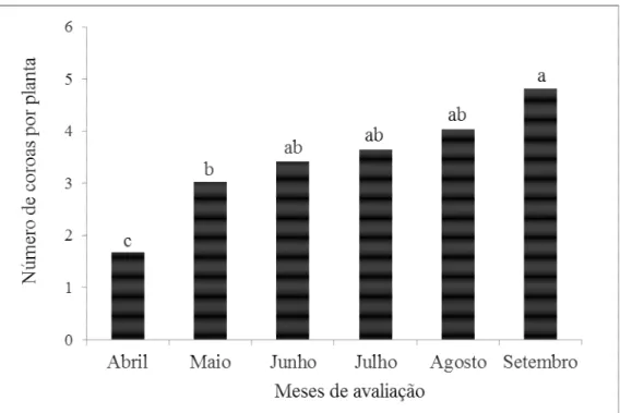 Figura  01:  Número  de  coroas  por  planta  de  morangueiro  cultivar  San  Andreas  em  função de seis meses de avaliação em sistema de cultivo em substrato
