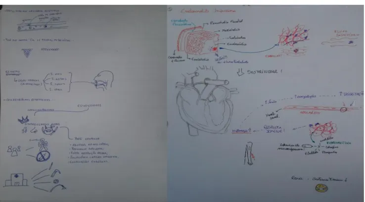 Figura 3 – Desenhos e esquemas produzidos para a vídeo aula de endocardite infecciosa