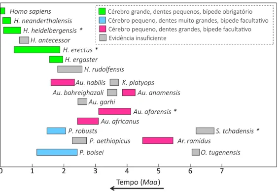 FIGURA 5 – Cronologia da ocorrência de espécies da linhagem humana encontradas nos últimos 7 milhões de  anos (do Mioceno ao Holoceno)