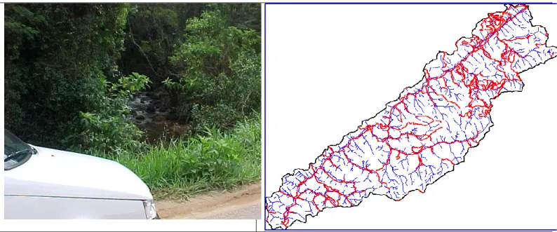 Figura 10 Estrada rural próxima ao curso d’água  Fonte: Catelani, (2005). 