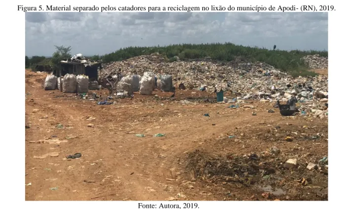 Figura 5. Material separado pelos catadores para a reciclagem no lixão do município de Apodi- (RN), 2019