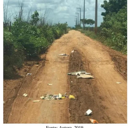 Figura 8. Resíduos sólidos acumulados às margens da estrada de acesso ao lixão, município de Apodi (RN), 2019