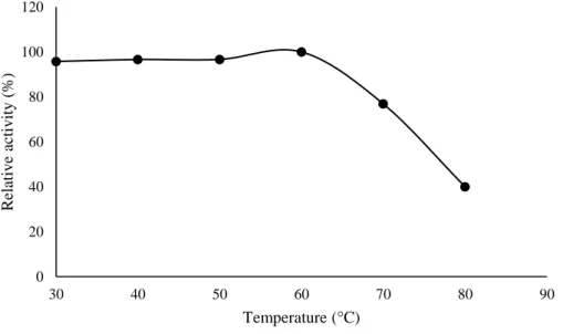 Figure 8. Effect of temperature on the enzymatic stability of Lentinus villosus. 