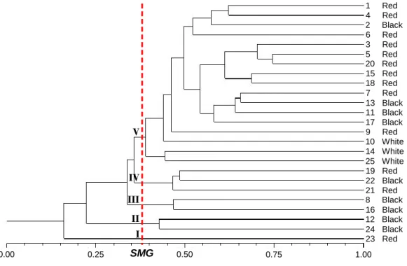 Figure 3. Dendrogram of genetic similarity among the  25 Chrysobalanus icaco L. genotypes collected from 15  sites in the northeast of Pará obtained by unweighted pair group method with arithmetic mean (UPGMA), using  the genetic similarity of Jaccard inde