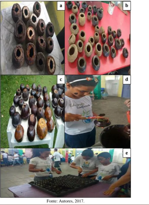 Figura  1.  Processos  das  atividades  realizadas  nos  ouriços  de  sapucaia:  Ouriços  de  sapucaia  utilizados  na  atividade  (a); 