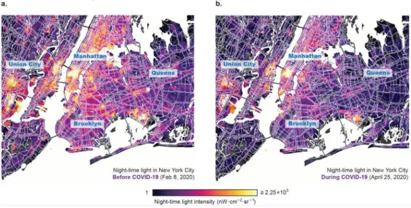 Figure 5 - visualization of the impact of covid-in new york [8]. 