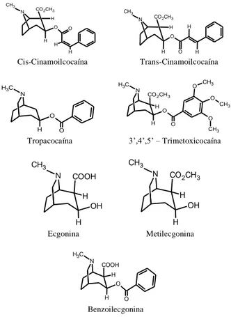 Figura 1. Estrutura Química da Cocaína. 