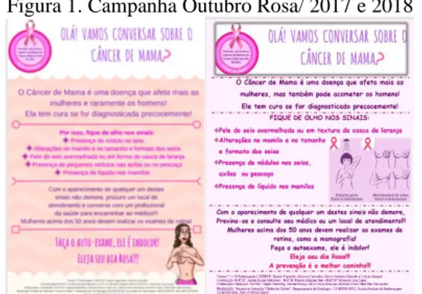 Figura 1. Campanha Outubro Rosa/ 2017 e 2018 